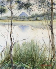Watercolour on Fabriano Paper